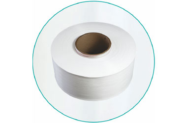 OEM nylon filament Factory –  Nylon 6 High Tenacity Yarn  – HSCC