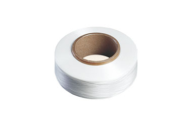 Nylon 6 Carded Mono Filament